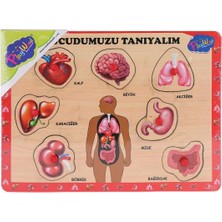 Aesco ONY-287 288 Ahşap Tutmalı Vücumuzu Tanıyalım -Onyıl Oyuncak