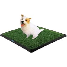 Aesco Köpek Tuvalet Eğitim Seti