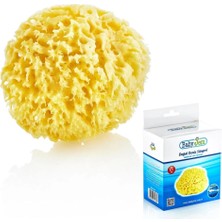 Belle Fusion Mey Ithalat®  doğal Deniz Süngeri 163