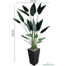 Yapay Çiçek Sitesi Ahşap Saksıda Yapay Starliçe Ağacı 220 cm