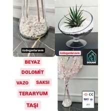 Dogant Dolomit Taşı Saksı Vazo Teraryum Fanus Dekor Süs Taşı Beyaz  2 kg