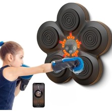 Aesco Müzikli Boks Makinesi