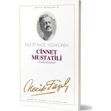 Aesco Cinnet Mustatili