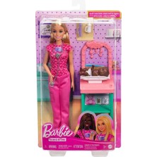 Aesco JCR71 Barbie Bakım Temalı Kariyer Oyun Setleri