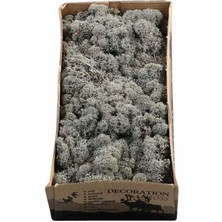 Trend Reindeer Moss Antrasit Şoklanmış Norveç Yosunu (250GR)