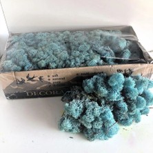 Trend Reindeer Moss Aquamarine Şoklanmış Norveç Yosunu (250GR)