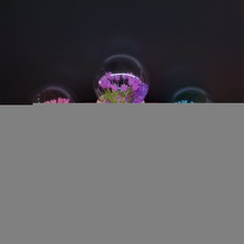 Similar LED Işıklı Lale Cam Fanus 1 Adet