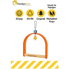 Papağanhane Premium Nazar Boncuklu Kuş Salıncağı – Akrilik Doğal Ahşap Tünek, Vidalı