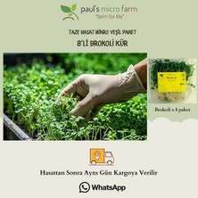 Pauls Micro Farm Sulforafan Kaynağı Brokoli Filizi – Bağışıklık & Hücresel Koruma (7 Günlük Taze Hasat)