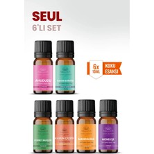 Aroviva Seul 6’lı Oda Kokusu Seti – Buhurdanlık Yağı, Difüzör Esansı ve Esansiyel Uçucu Yağ (10ML x 6)