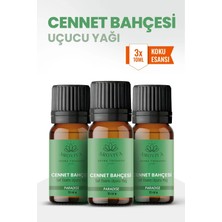 Aroviva Cennet Bahçesi Oda Kokusu 3'lü Set – Buhurdanlık Yağı, Difüzör Esansı ve Esansiyel Uçucu Yağ