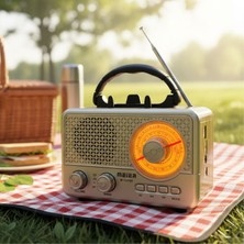 Dexxony Retro Bluetooth Radyo FM/AM/SW USB SD Kart AUX Şarjlı Pilli Taşınabilir Mini Nostaljik Radyo