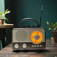 Dexxony Özel Seri Hem Pilli Hem Bataryalı Nostaljik Radyo & Bluetooth Hoparlör -Videolu Ürün