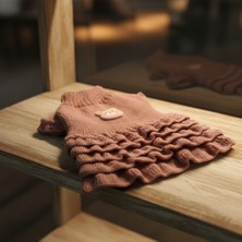 Lady Fify Kedi ve Köpek Için Pembe Simli Fırfırlı Kazak