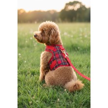 BiBa Pet Ekose Köpek Göğüs Tasması Seti Çekiştirme Önleyici/nefes Alan Kumaş/gezdirme Kayışı Dahil