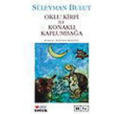 Aesco Oklu Kirpi Ile Konaklı Kaplumbağa