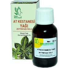 Aesco At Kestanesi Yağı 50CC