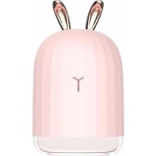 Aesco LED Işıklı Hava Nemlendirici Buhar Makinesi Dekoratif Aromaterapi - Lisinya