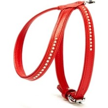 Aesco Taşlı Deri Köpek Göğüs Tasması 1,2 x 25-35 cm Kırmızı