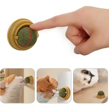 Aesco Duvara Yapışan Dönen Kedi Nanesi Cat Oyun Topu Doğal Kedi Oyuncağı - Lisinya