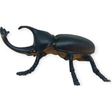 Aesco Böcek Figürleri - Gerçekçi Figür - Gergedan Böceği 10 cm  (Lisinya)