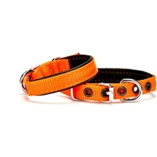 Aesco Softlu Köpek Boyun Tasması 1,5 cm x 35 cm Tcu