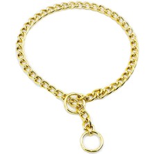 Aesco Eğitim Serisi Zincirli Köpek Boyun Tasması 3,5X55 cm - Gold
