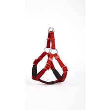 Aesco Köpek Göğüs Tasması Xxs 30*35 cm Kırmızı