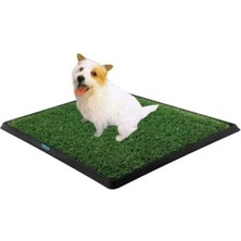 Uslucan Alışveriş Köpek Tuvalet Eğitim Seti