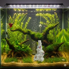 Etkrtl-Akvaryum Mağara Dekoru Balık Saklanma Alanı 14X8 cm