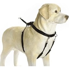 SHC4200 Beeztees Köpek Yürüyüş Eğitim ve Düzeltme Tasması, Xl