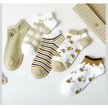 Arı Desenli 5 Çift Kadın Çorap