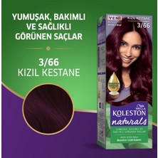 İsmiyle Al Naturals Saç Boyası Kızıl Kestane 3/66