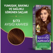 İsmiyle Al Naturals Saç Boyası Ayışığı Kahvesi 6/73