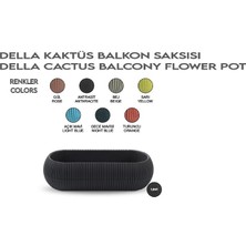 Sönmez Kaktüs Balkon Saksı, 1.3l, 27.7X11.8X9.1 Cm, No:2