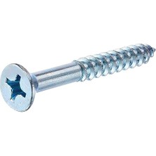 SHC4200 The Group 40037 6-Inç x 2-1/2-Inç Düz Başlı Phillips Ahşap Vida, 100&APOS;LÜ Paket, Çinko