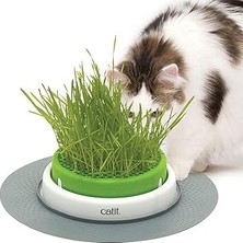 SHC4200 Catit Grass Planter, Kedi Otu, Kapaklı Kedi Kazığı, 1 Adet (Tekli Paket)