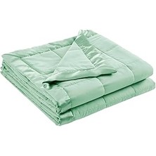 SHC4200 Madison Park Hafif Mikrofiber Battaniye, Lüks Dikiş, Saten Bağlama, Vurgulu, Scotchguard Kılıf, Kir