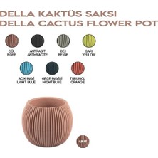 Sönmez Kaktüs Saksı, 0.35L, 11.8x9.2 Cm, No:2