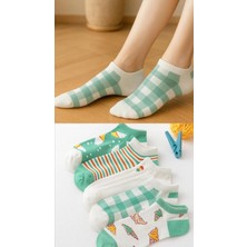 5 Çift Dondurma Desenli Kadın Çorap