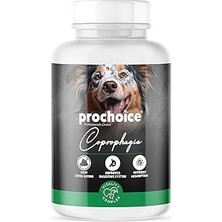 SHC4200 Prochoice Köpekler Için Dışkı Yeme Önleyici Vitamin 60 Tablet