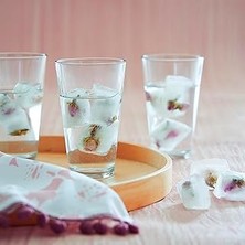 SHC4200 Lav 6'lı Meşrubat Bardağı