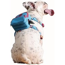 SHC4200 Gimme Five Çantalı Göğüs Tasması Large Recycled