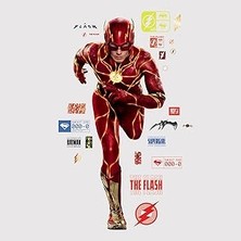 SHC4200 Roommates RMK5406GM Flash Peel And Stick Duvar Çıkartmaları