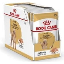 SHC4200 Royal Canin Poodle Yetişkin Pouch Yaş Köpek Maması 85 gr 12'li
