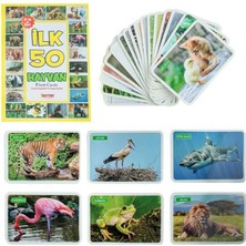 NW NessiWorld 1352FLASHCARDSİLK50HAYVAN-DIYTOY
