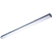 Philips Phılıps LED Etanj Armatür WT066C Cw LED36 L1200 6500K Beyaz Işık