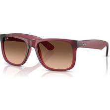 Ray-Ban Güneş Gözlüğü RB4165 55 6815A5