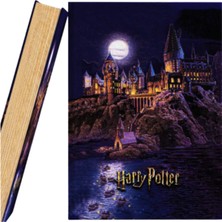 Dağtaş Kırtasiye Harry Potter Kitap Görünümlü Dekoratif Kutu Orta Boy