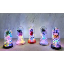 Uslucan Alışveriş Işıklı Müzikli Romantik Gül Buketi